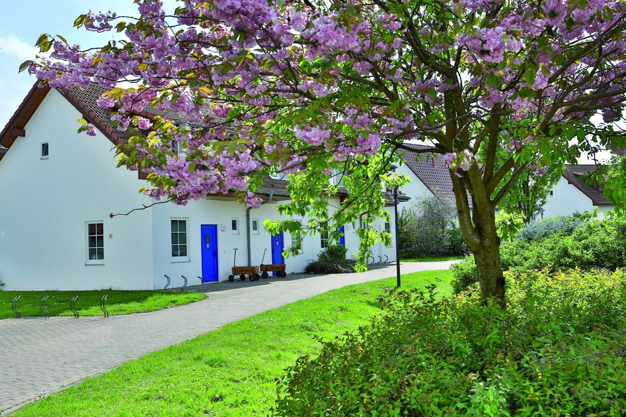 Aparthotel Feriendorf Rerik Exterior foto